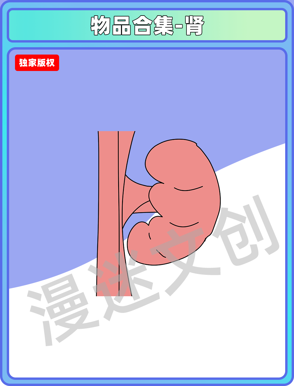 物品合集-肾
