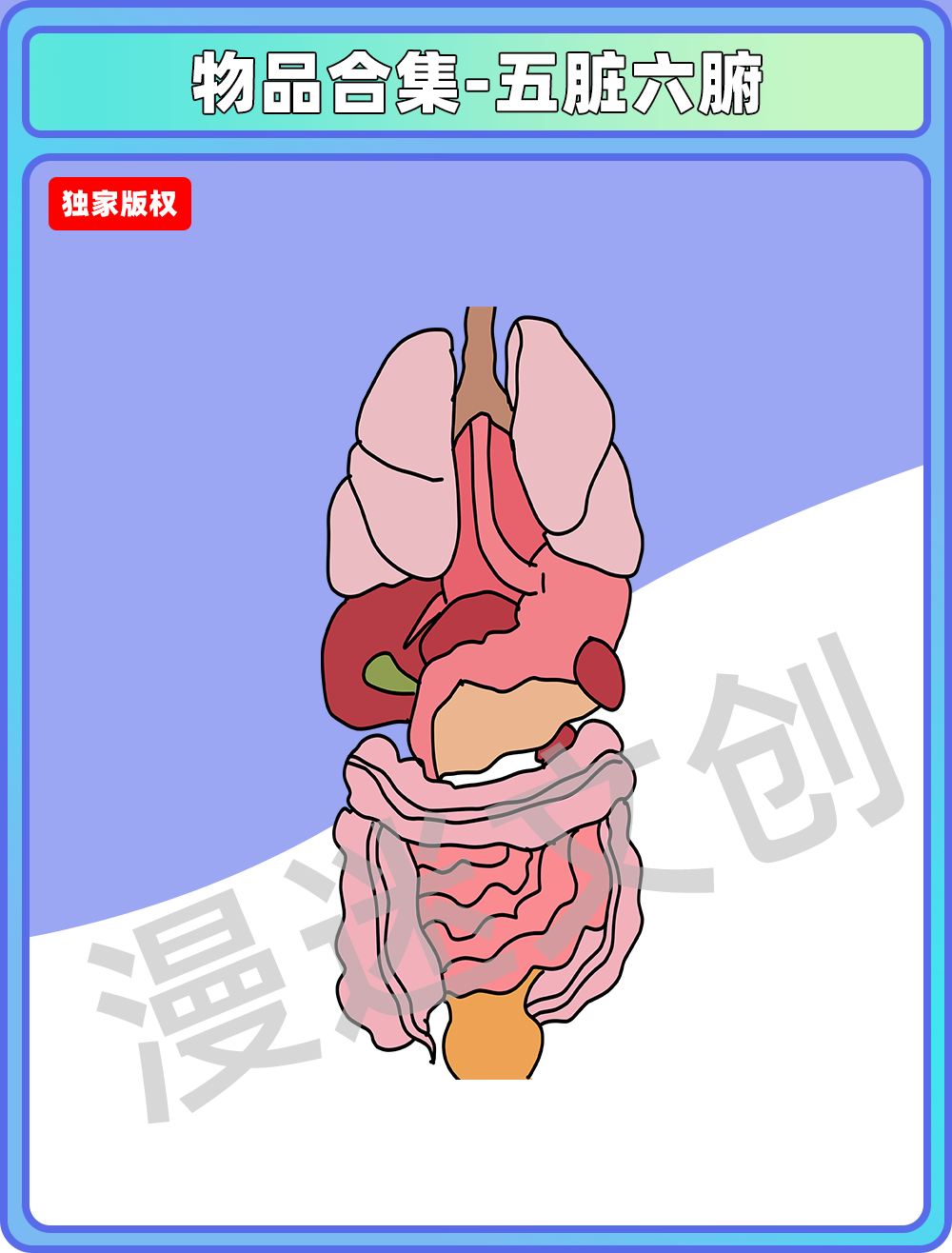 物品合集-五脏六腑